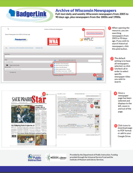 Screenshot of Archive of Wisconsin Newspapers info sheet