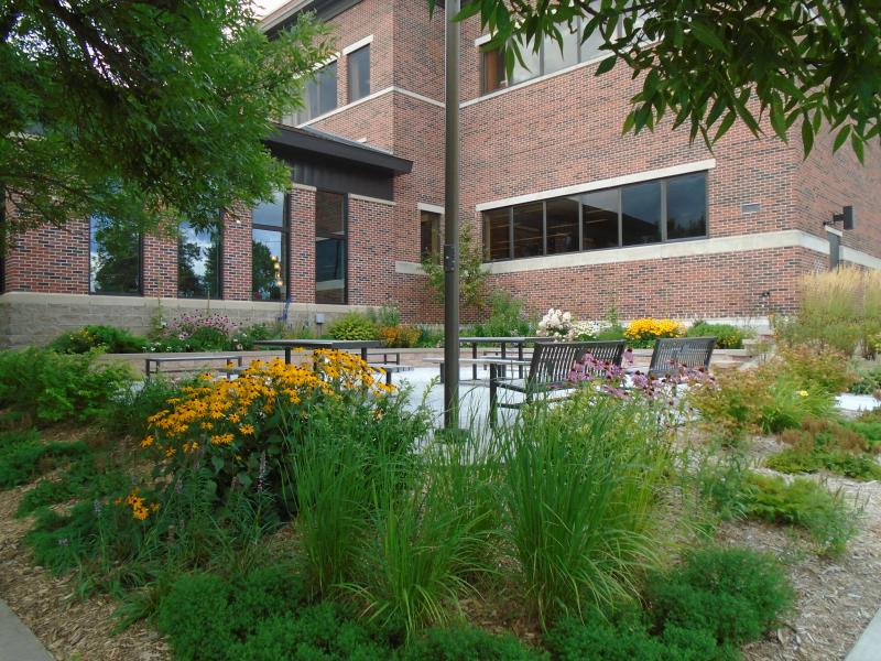 Beautiful flowers outside Minocqua Public Library